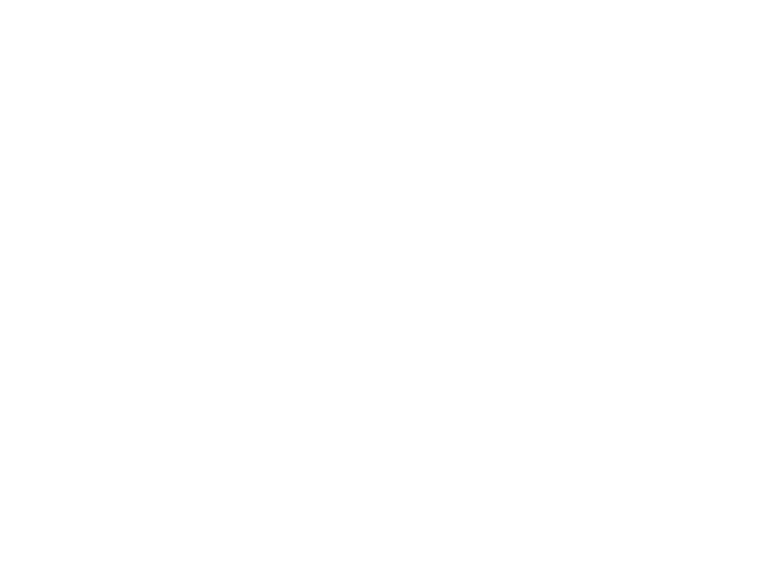 LOGOTIPO PRINCIPAL PNG-01