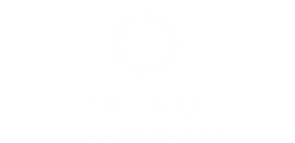 Dileo Technology